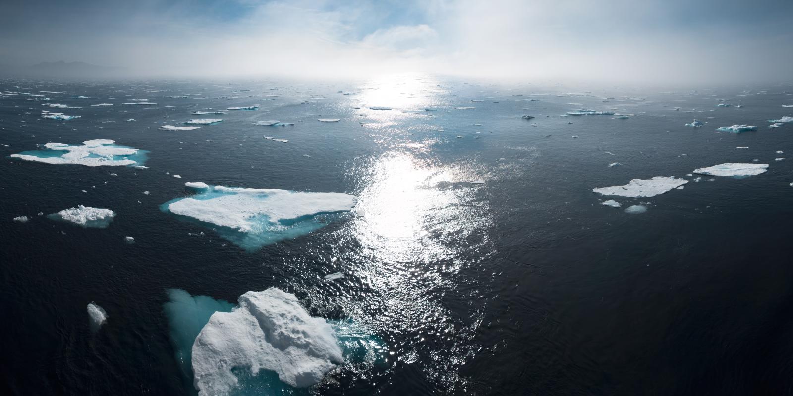 How Much of an Emergency Can the Climate Actually Be?